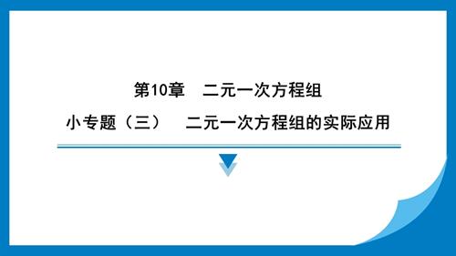 25春苏科版七年级下册数学小专题（三）　二元一次方程组的实际应用 习题课件.pptx