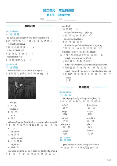 教科版（2024）科学一年级下册2 .5 它们吃什么 同步练习（含答案）.docx