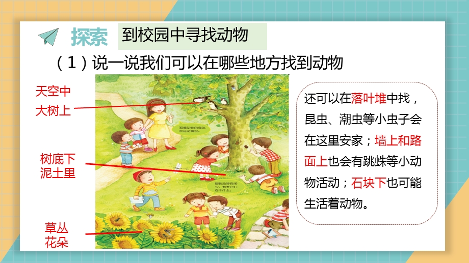 2025教科版一年级下册科学2.1《我们周围的动物》.pptx_第4页