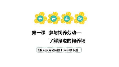 湘人版六年级下册劳动实践指导手册第四单元第1课《了解身边的饲养场》课件.pptx