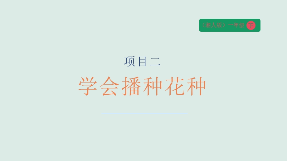 湘人版一年级下册劳动实践指导任务四项目2学会播种花种课时课件.pptx_第1页