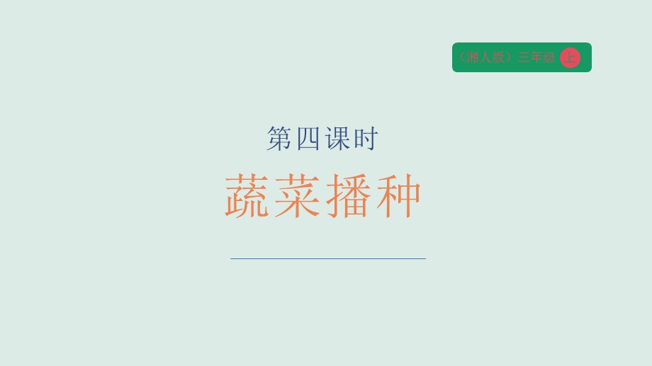 湘人版三年级上册劳动实践指导任务二项目2《菜园播种》课件.pptx_第1页